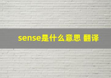 sense是什么意思 翻译